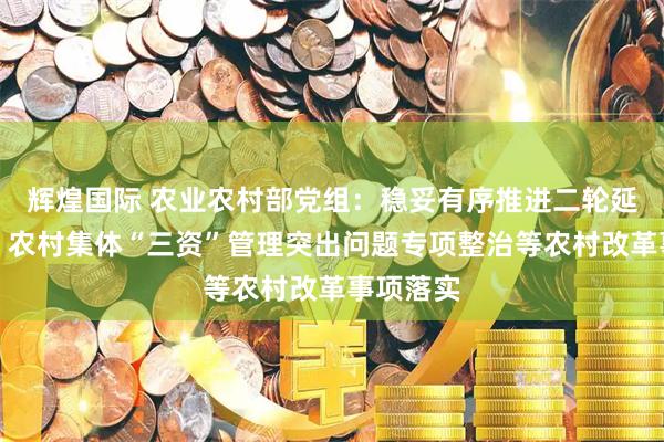 辉煌国际 农业农村部党组：稳妥有序推进二轮延包试点、农村集体“三资”管理突出问题专项整治等农村改革事项落实