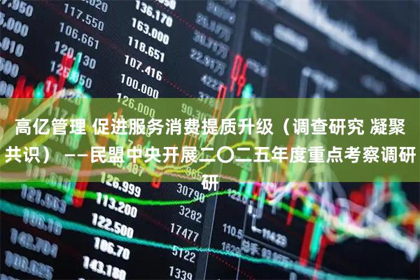 高亿管理 促进服务消费提质升级（调查研究 凝聚共识） ——民盟中央开展二〇二五年度重点考察调研