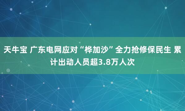天牛宝 广东电网应对“桦加沙”全力抢修保民生 累计出动人员超3.8万人次