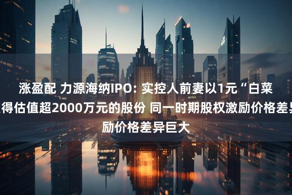 涨盈配 力源海纳IPO: 实控人前妻以1元“白菜价”获得估值超2000万元的股份 同一时期股权激励价格差异巨大