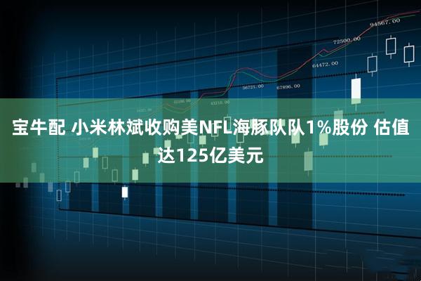 宝牛配 小米林斌收购美NFL海豚队队1%股份 估值达125亿美元