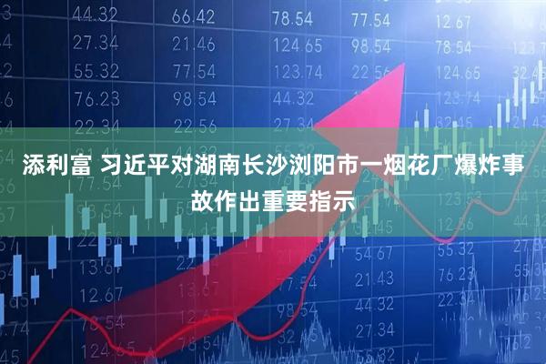 添利富 习近平对湖南长沙浏阳市一烟花厂爆炸事故作出重要指示
